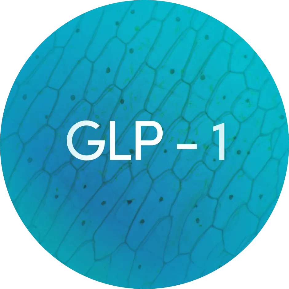 GLP-1